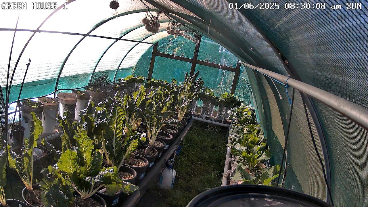 Greenhouse 1 Timeplapse Ending 22-06-2025
