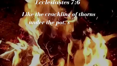 Ecclesiastes 7:6
