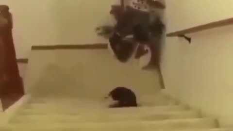 😂