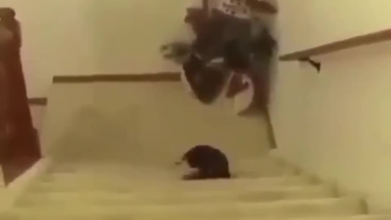😂