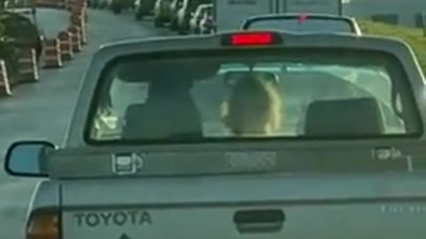 Puppet Road Rage! lol