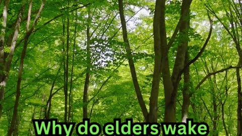 Old Age Sleeplessness Facts#ElderCare 🧓 #SleepTips 😴 #CalmNights 🌙 #RestEasy 🛏️ #GoldenYears 🌟
