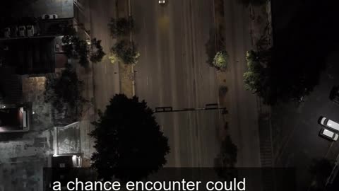 Daily Horoscope | Sagittarius 🌟