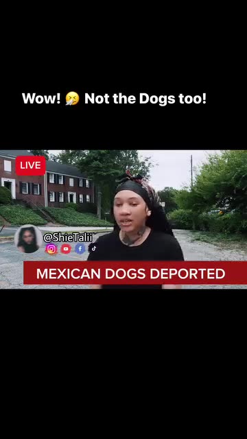 Mexican Dogs Deported