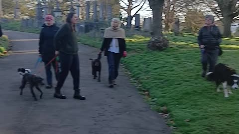 The dog eaters carrying babies abusing life and deathà