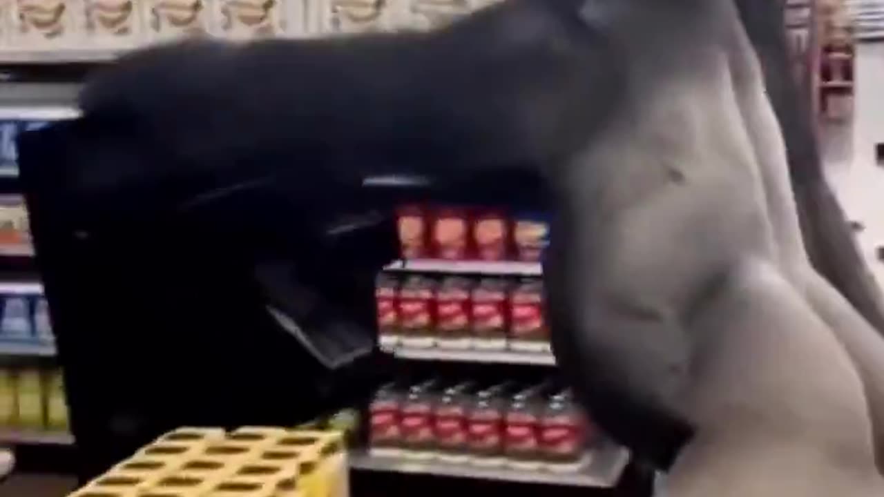 Looting when SNAP ends