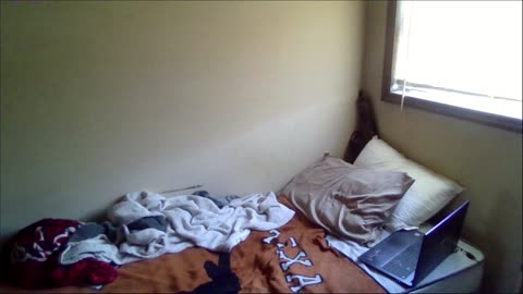 Smokeys Room