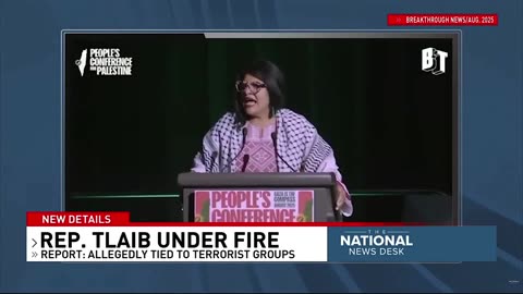 Muslim Democrat Socialist Rashida Tlaib Has Ties to Terrorist Groups, Which Shocks Nobody Anywhere