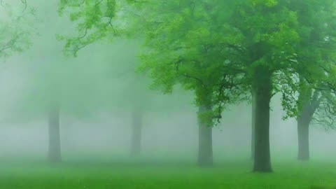 Whispers in the Fog By Refresh Blast A Short Horror Story