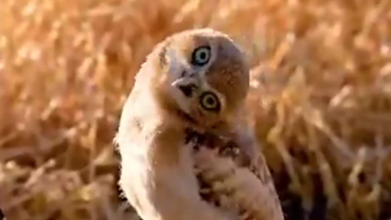 When you see the person your ex is now dating...