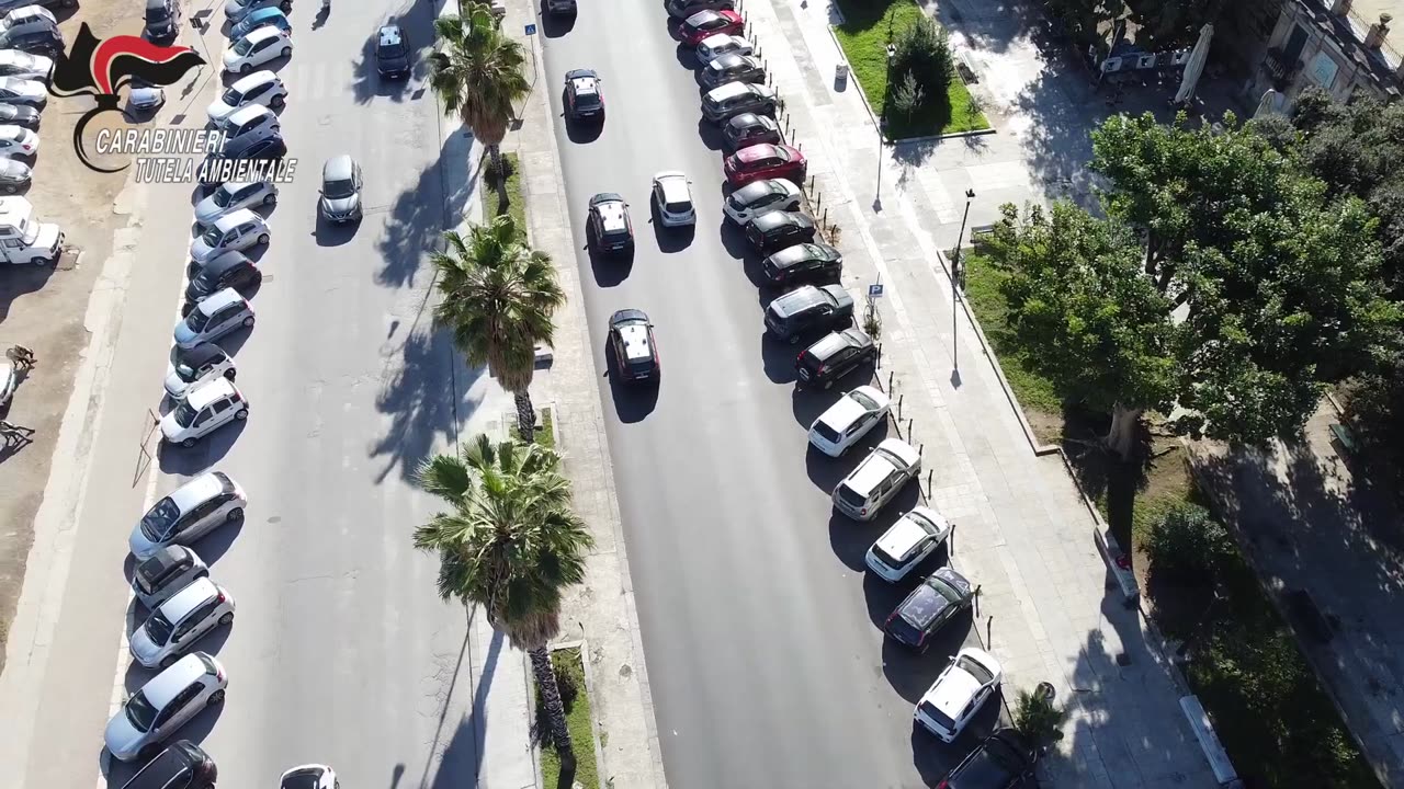 Torretta (PA - Traffico illecito di rifiuti, riciclaggio e gestione illecita di rifiuti (18.03.25)