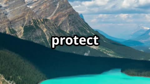 Why we need National Parks