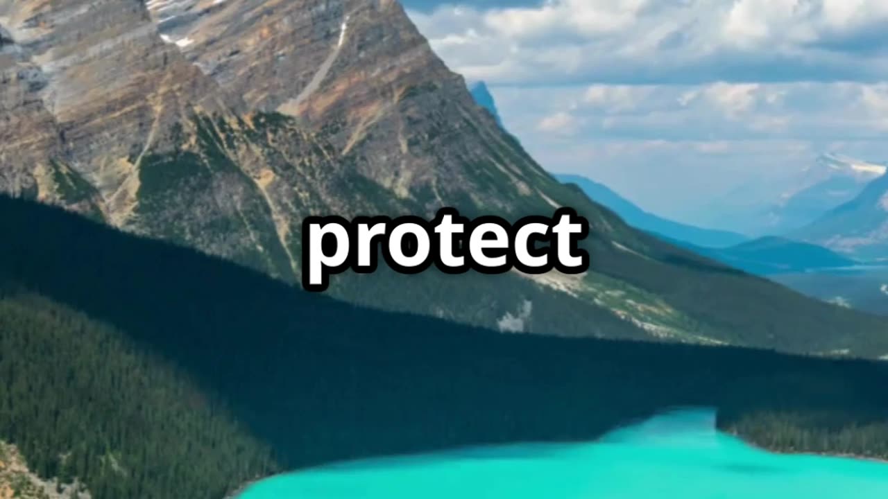 Why we need National Parks