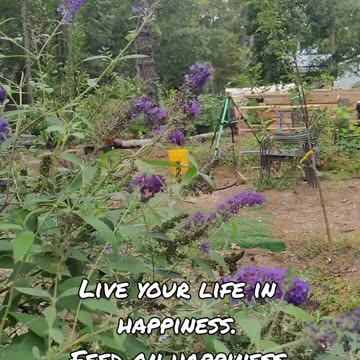 Daily Affirmations 11