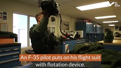 How the US Air Force Prevents Wild Birds From Destroying Its Jet Fighters