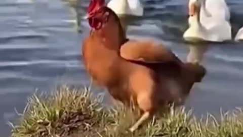 🙃Don't associate with people who are not on your level. https://otieu.com/4/10254893