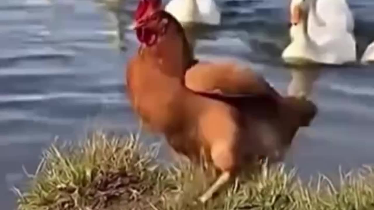 🙃Don't associate with people who are not on your level. https://otieu.com/4/10254893