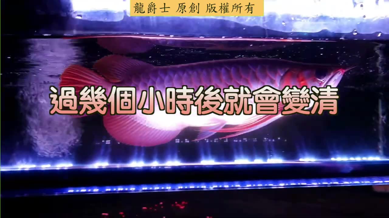 【龍爵士】千問千答 Q178-活性炭要清洗過才用嗎