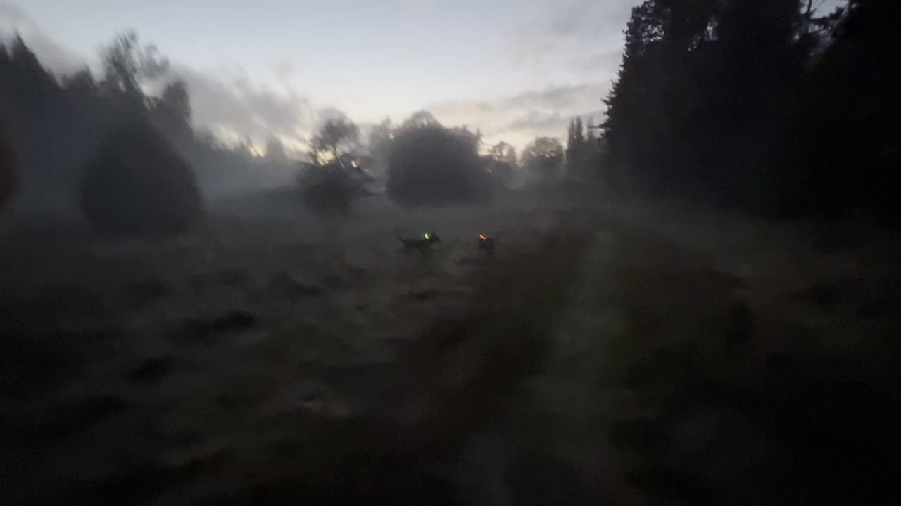 waynes park patrol 12982190812