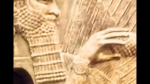 The pine cone . The pineal gland . The third eye