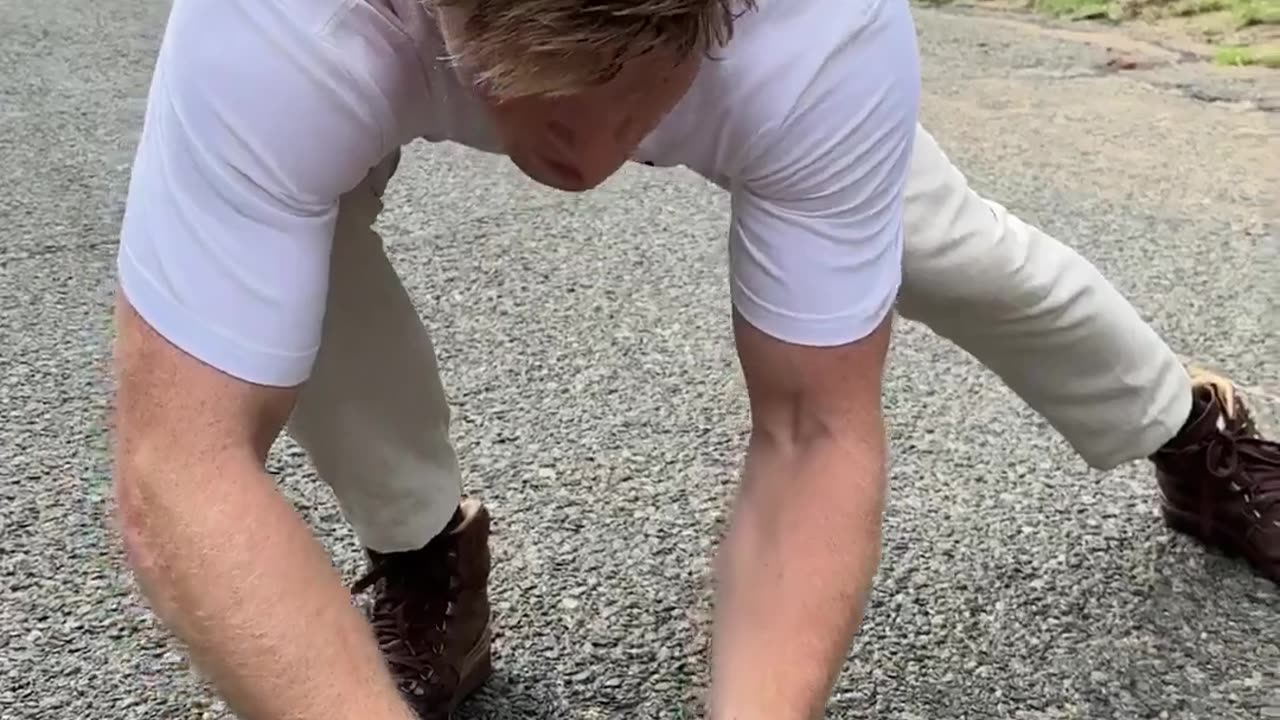 🤯✨ Steve Irwin's Son Saves a Chameleon! | FeedMyCuriosity