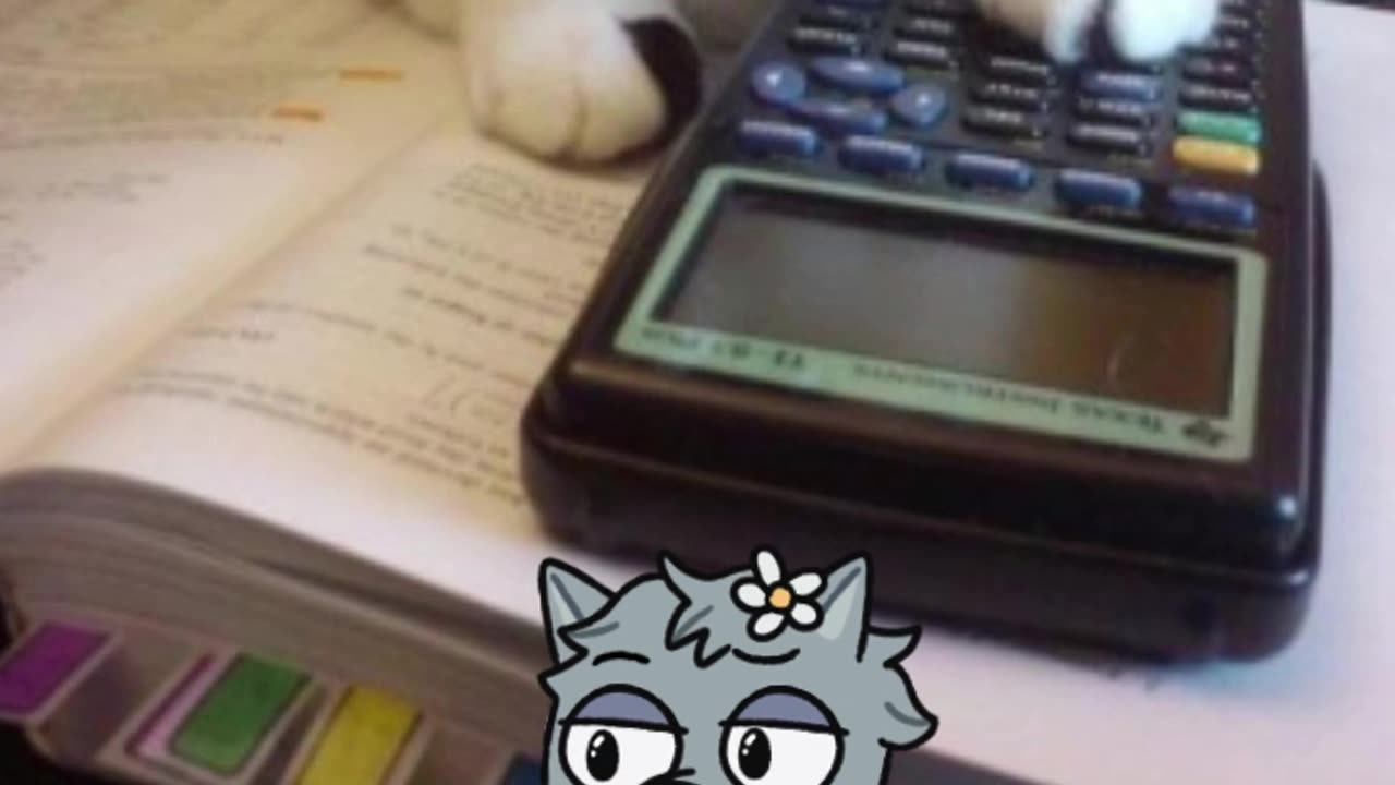 gato-invisivel.mp4