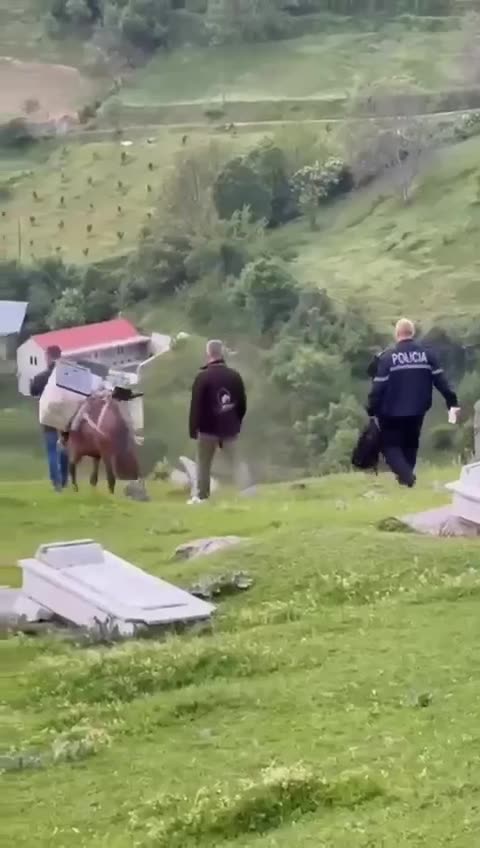 Fotolajm: Në Zapod të Kukësit kutitë e votimit kthehen në qendrën e numërimit me mushkë