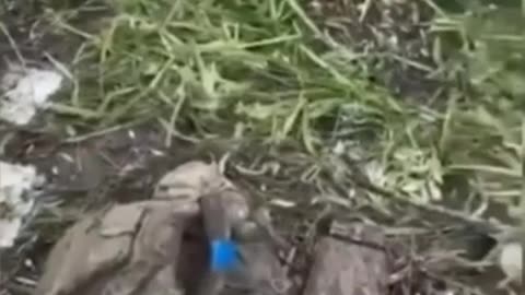 Ukriane war combat footage july 16 2025