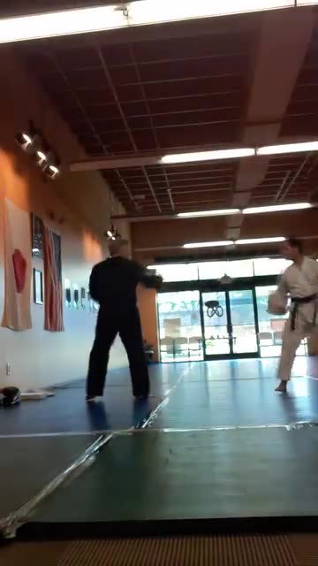 Tong Hap Kwan Hoshinsul Kicking Drill