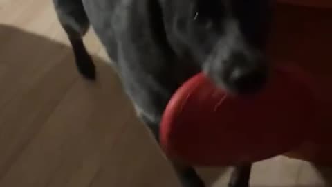 Let’s go out and play catch