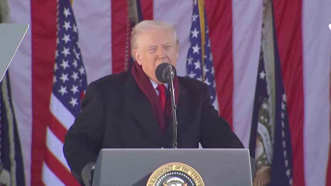 Trump Veterans Day speech