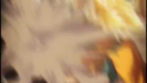 ©•DestewartSaracenoScaranoStewawn® •™ˌˈɛntərˌˈteɪnər•℠