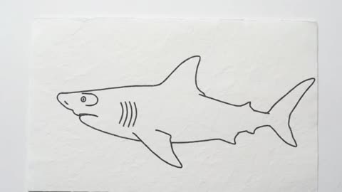 Fish Sketch Turned Real with Flames | Animal Sketch-to-Real Magic