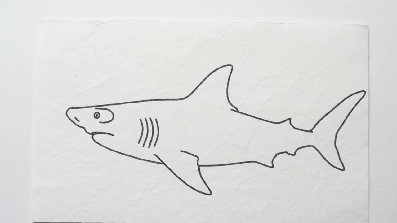 Fish Sketch Turned Real with Flames | Animal Sketch-to-Real Magic