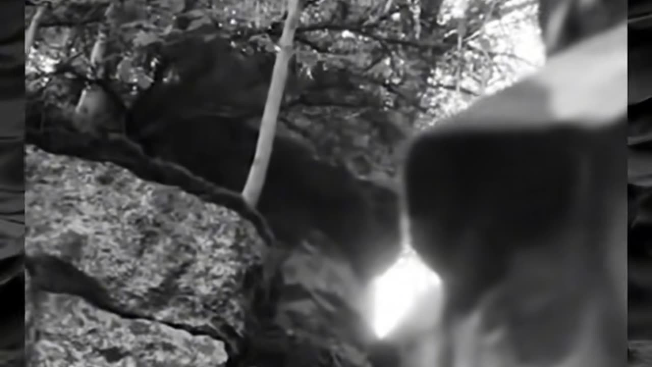 😧👹 Paranormal Activity You Can't Explain! | TheHauntingHour