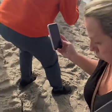 The Grinch DESTROYED This Beach