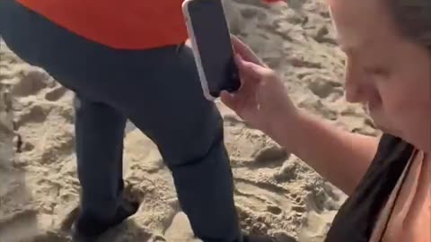 The Grinch DESTROYED This Beach