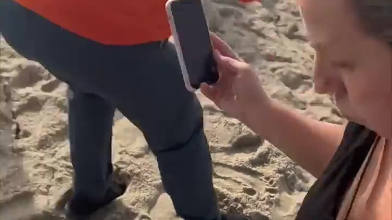 The Grinch DESTROYED This Beach