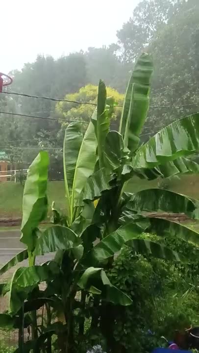 thunder and lightning