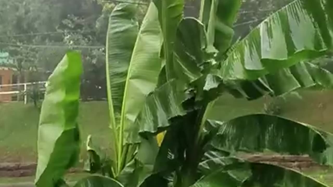 thunder and lightning