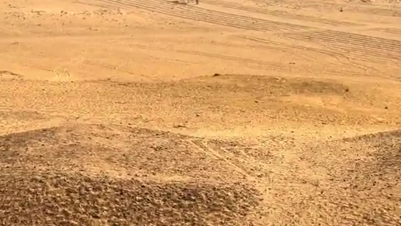🤯 Mind-Blowing Experience: Walking Into the Largest Ancient Structure!