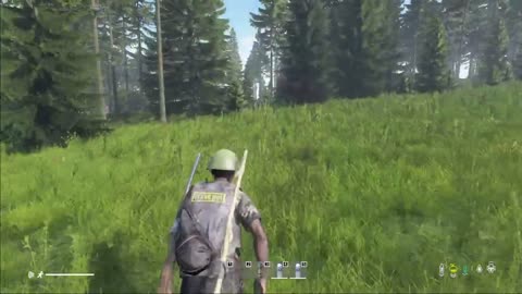 DayZ Livonia: just trying to survive