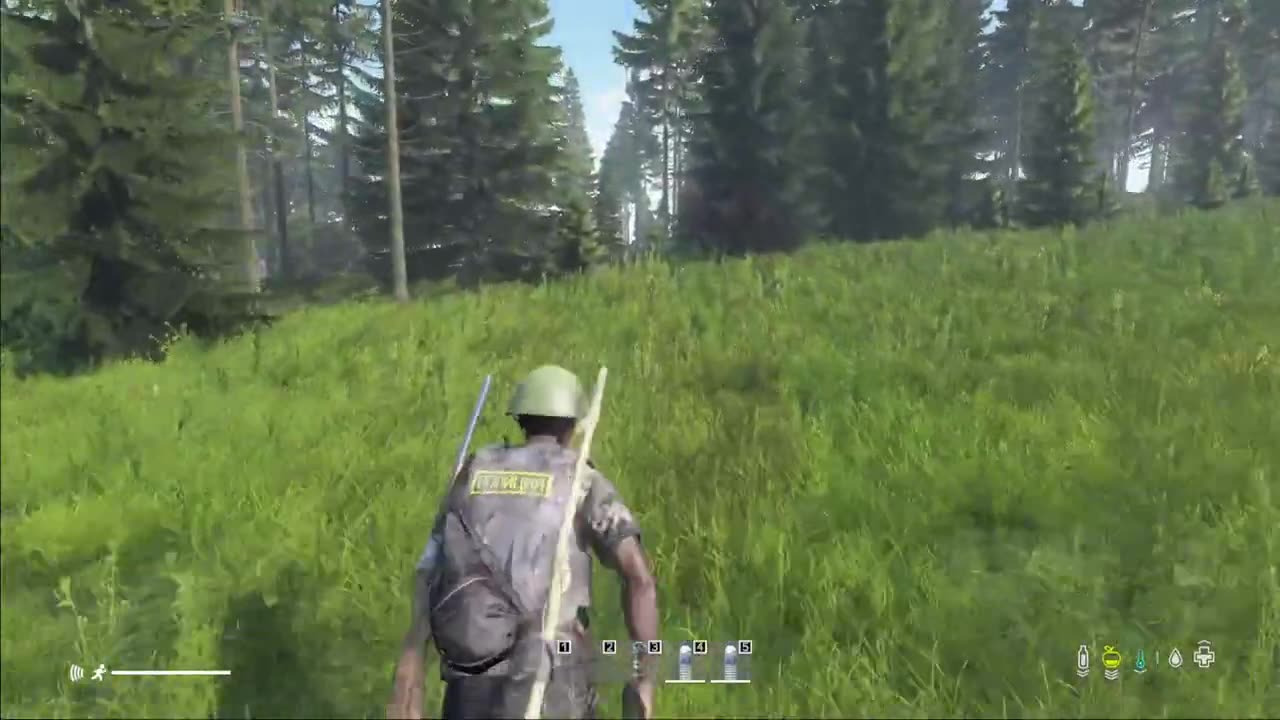 DayZ Livonia: just trying to survive