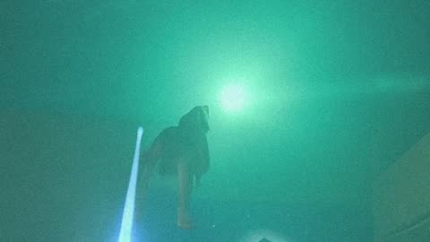 1992 Abduction