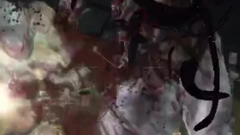 Resident Evil: Revelations 2 I Love Rag-doll Physics