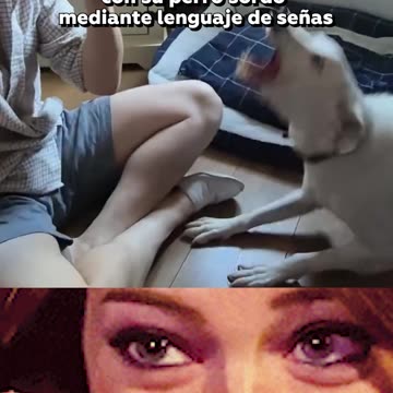 El conmovedor vínculo entre un perro sordo y su familia