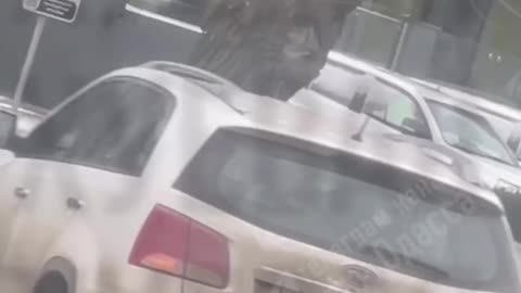 Zelensky’s Enforcers Tried to Kidnap a Man Walking His Dog in Odesa