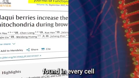 US Scientist: Do This Purple Peel Exploit To 3X Calorie Burning