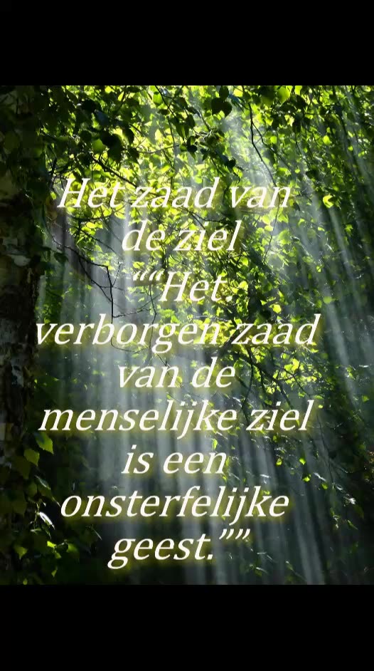 Het Zaad