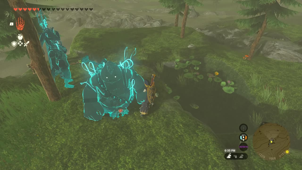 korok seeds 59
